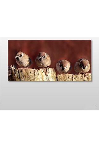 Serçeler Kanvas Tablo