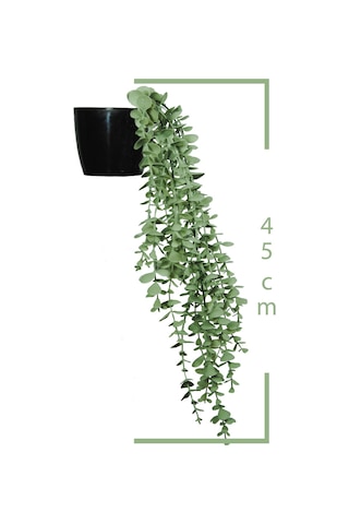 Yapay Çiçek Parlak Siyah Saksıda Pastel Yeşil Okaliptus Sarkıtı Yeşil