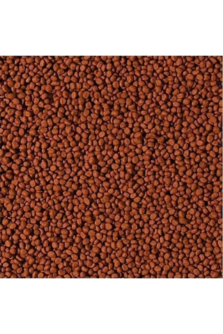 Tropical Cichlid Carnivore Small Pellet 100 Gram Küçük Granül Bal
