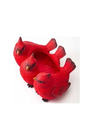 Novahub Kırmızı Kuşlu Reçine Saksı - Dayanıklı Masaüstü Dekorasyon