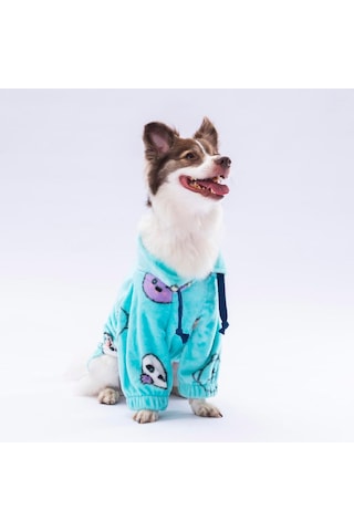 Pawstar Animalium Küçük Irk Köpek Poları