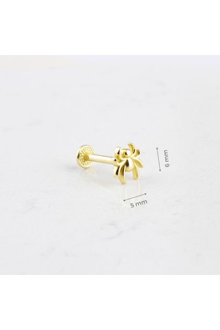 Glorria Altın Örümcek Tragus Piercing Altın