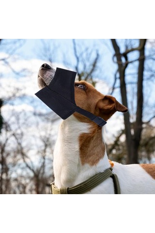 Homyl Köpek Namlu Isırma, Yeme Ve Siyah-14cmx18cmx4cm