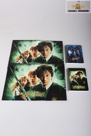 Dekomus İle Lisanslı Harry Potter 2 Adet Çıtçıt Dosya Ve 2 Adet Spırallı A6 Çizgili Not Defteri / Bloknot Okul Seti Altın