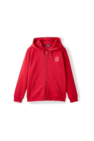 Gsstore Galatasaray Çocuk Zip Hoodie C252078 Kırmızı