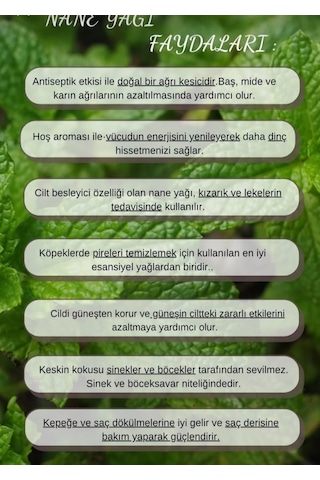 Lavendrose Nane Uçucu Yağı %100 Saf Difüzör Için Aromaterapi Yağı