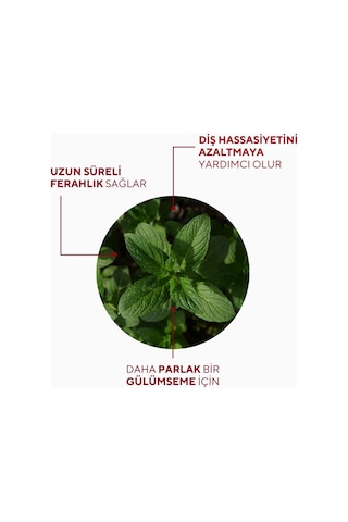 The Ceel Hassas Dişler İçin Koruyucu Diş Macunu 75 gr