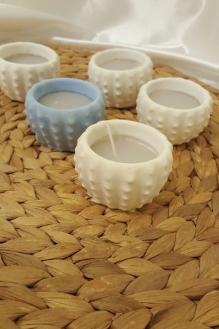 Yılbaşı Kaktüs Saksı Mum Yeni Yıl Mumu Noel 5 Li Çok Renkli