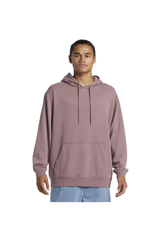 Quiksilver Salt Water Hoodie Erkek Sweatshirt Mor