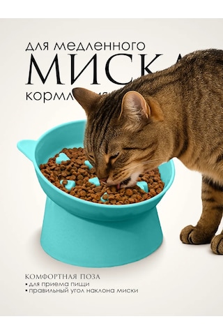 Vektorı Kedi Kabı 391740898