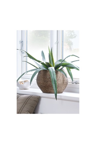 Saksı Sıvopert Ø26xy23cm Kahverengi
