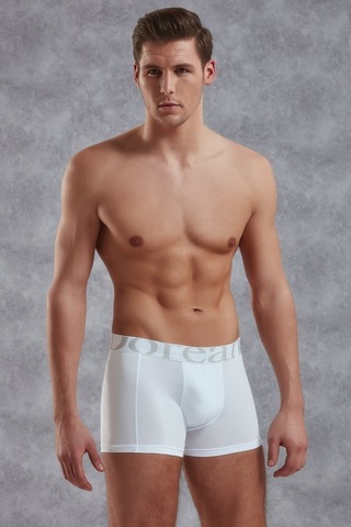Doreanse Essentials Erkek Boxer 1777