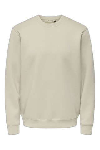 Only & Sons Onsluca Lıfe Reg Ls Crew Gri Erkek Sweatshirt 22035201