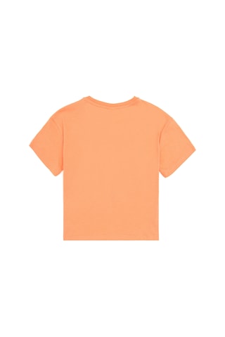U.S. Polo Assn. Kız Çocuk Somon Bisiklet Yaka Tişört 50283278-VR047