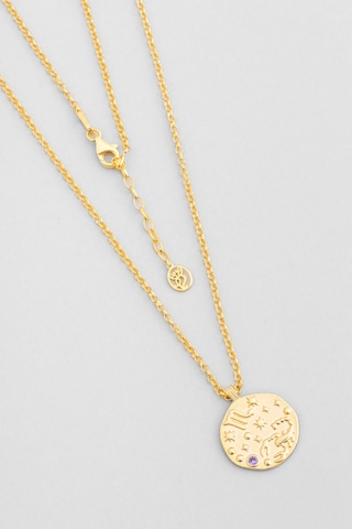 Akrep Burcu 18 Ayar Sarı Altın Kaplama 45 Cm Gümüş Kolye Sarı