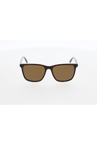 Mustang Mu2643 02 Unisex Güneş Gözlüğü Kahverengi