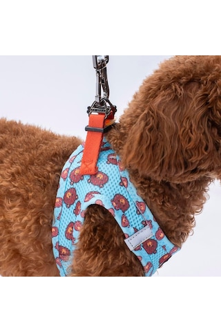 Pawstar Air-mesh Bears Köpek Göğüs Tasması Xs Genel