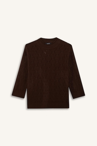 Defacto Regular Fit Bisiklet Yaka Ajurlu Triko Tunik G0710ax25wnbn330 Kahve-bn330