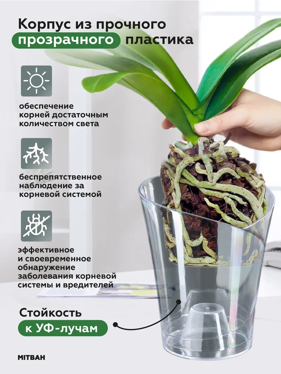 Mıtbah Şeffaf Orkide Saksısı Saksı 2 Adet 74247173