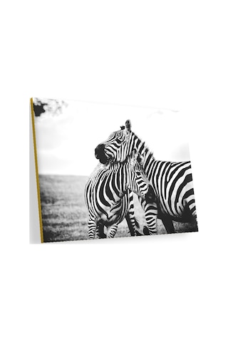 Cakasepetim Anne Zebra Ve Yavrusu Siyah Beyaz Ahşap Mdf Tablo