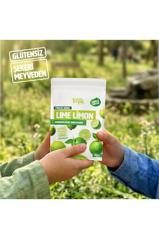 Dondurularak Kurutulmuş Lime Limon 16 G Freeze Dried Meyve Cipsi Çıtır Meyve Kurusu 5 Adet 18 G