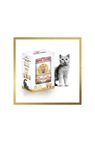 Royal Canin British Shorthair Hediye Kutulu Yetişkin Kedi Maması 2 KG