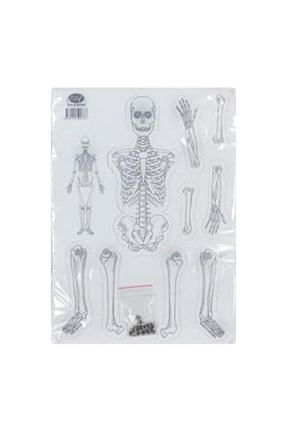 Karton Iskelet Seti Sistemi - Maket 1299145373