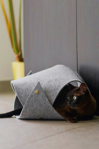 Bundera Toby Kedi Tüneli Evcil Hayvan Oyuncağı 70 x 20 CM
