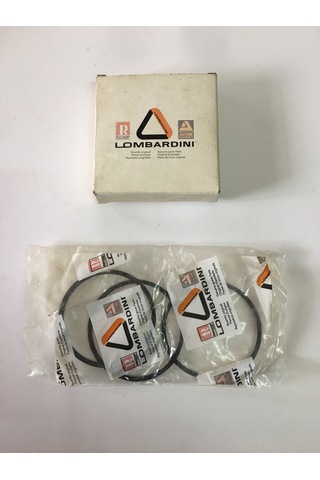 LOMBARDİNİ / İTALYAN SEGMAN (SEKMAN) +0.50MM TAKIMI KOMPLE