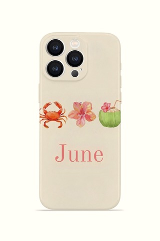 Apple iPhone Uyumlu 16 Pro Vorian İnce Kamera Korumalı Mika Kılıf June Seaside June Seaside Mika