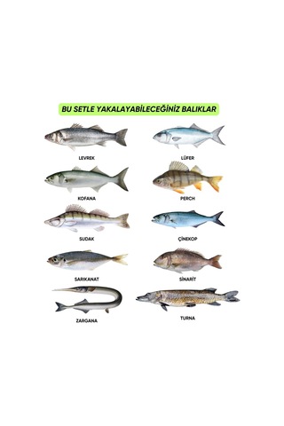 Silikon Spin At-çek Yem Seti - 70 Parça - Yem Kutulu - Fishack 2003