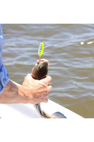 Tenfowee A01 20 Adet Metal Yem Seti - Renkli Parlak Flasher, Balık Çekici, İki Kanal Ve Kutulu Olta Takımı