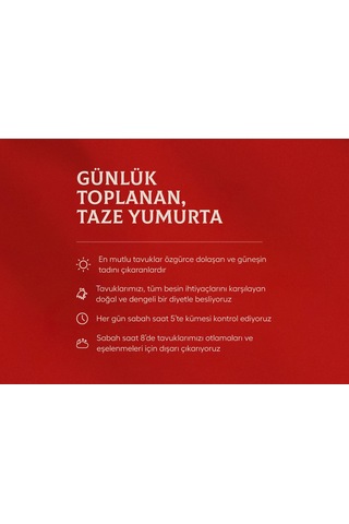 Kafessiz Köy Tavuğu Yumurtası 15 Adet