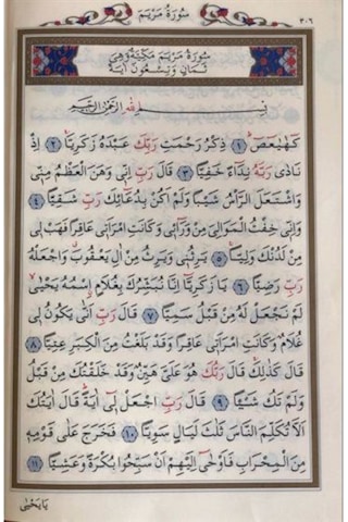 Cami Boy 30 Cüz Kur'an-ı Kerim Hatim Seti / Bilgisayar Hatlı /... - 276173731