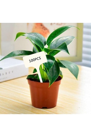 Trendooze Homyl 50 Adet T-şekilli Bitki Etiketi, Saksı Ekici