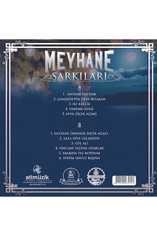 Meyhane Şarkıları - Yorumcu:salih Kahraman Plak