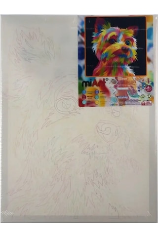 Miart Sayılarla Boyama Seti Sevimli Dost 30x40 Cm