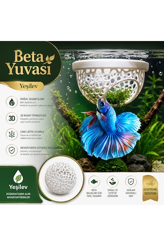 Beta Balığı Beyaz Betta Dinlenme Alanı & Üretim Yuvası