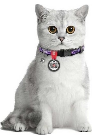 Waudog Collar Qr Pasaportlu Kedi Ve Ufak Irk Köpek Boyun Tasması 20-30 Cm, 10 Mm, L, Purple Camo