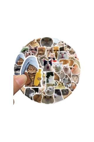 Çılgın Kediler Laptop Notebook Tablet Sticker Seti