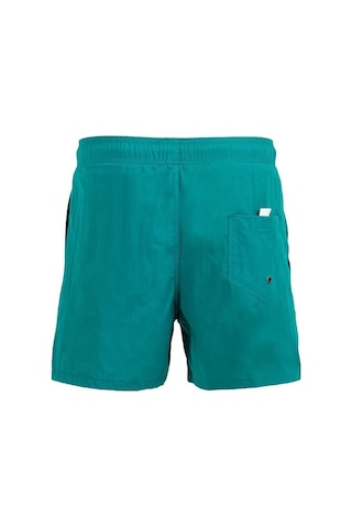 Yeşil Su İtici Özellikli Naylon Kumaş Düz Renk Basic Erkek Plaj Deniz Şort Mayo - 540-yeşil 001