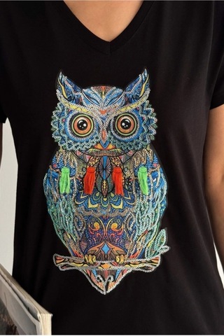 Cassime Kadın Siyah Baykuş Desenli Pul Payet İşlemeli Büyük Beden %100 Pamuk Tişört Xl-2xl-3xl