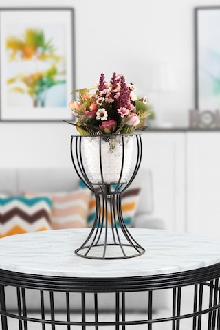 Anafor Saksılık Siyah 25 Cm Şeffaf Saksı