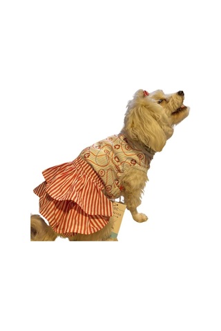 Gedyco Navy Red Küçük Irk Köpek Elbisesi