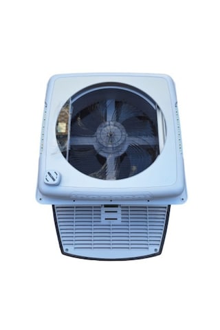 Einstein Eva Plus Fan Tavan Heki Çok Renkli