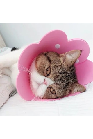 Soulader Keçe Kedi Yaka L Beden Elizabethan Yakalık Yalama Önleyici Koruyucu Yumuşak Rahat Nefes Alabilir Kedi Ve Köpekler İçin Ayçiçeği Desenli Evcil Hayvan Aksesuarları