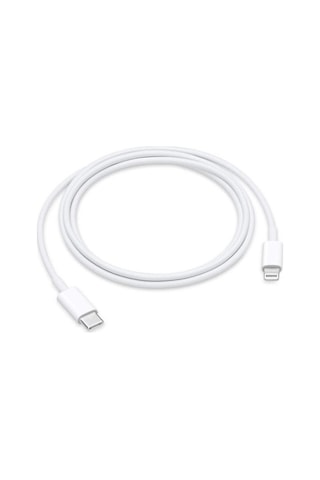 Nettech NT-DC10 2.4 A Plastik 100 CM Type C- Lighting Data Kablo