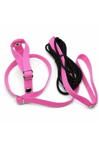 Jumbo Muhabbet Kuşu Tasması - Uçuş Takımı, Pembe