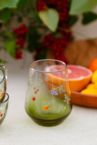 Rakle Jardin 4'lü Su Bardağı Seti 425 Cc Renkli