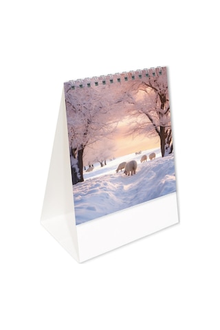 2026 Mevsimler Piramit Masa Takvimi Dikey Masaüstü Takvim 12x19,5 Cm